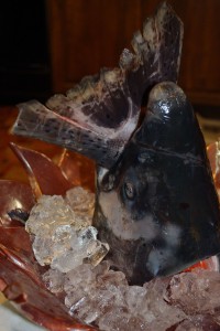 King salmon head on ice