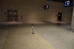 The waiting cane