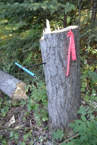 Coring the Stump of Happiness