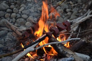 Roasting fresh backstrap over an open fire