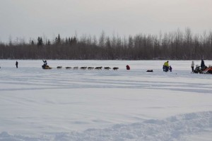 An Iditarod team on the trail leaving Fairbanks