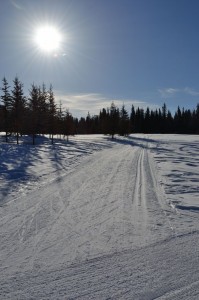 March sun shines on the ski trail