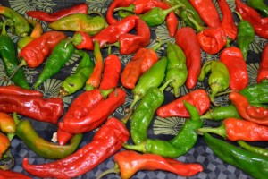New Mexico chiles ready for roasting (they ripened a little on their trip, thus the red).