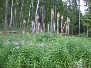 Structural posts set in the new site