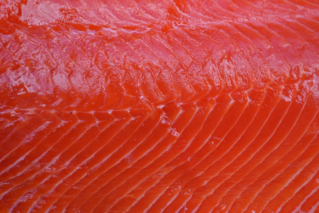 Fresh Copper River red salmon fillet